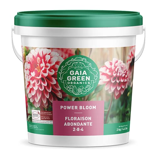 Gaia Green Organics Powder Bloom