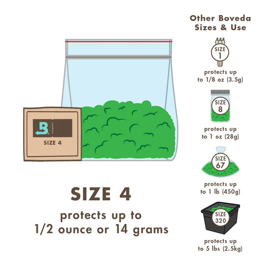 BOVEDA (Size 4) 10 Pack