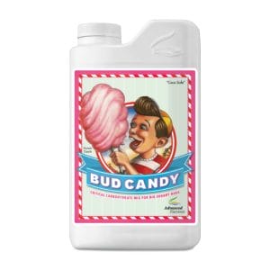 Bud Candy