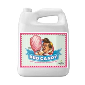 Bud Candy