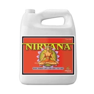 Nirvana