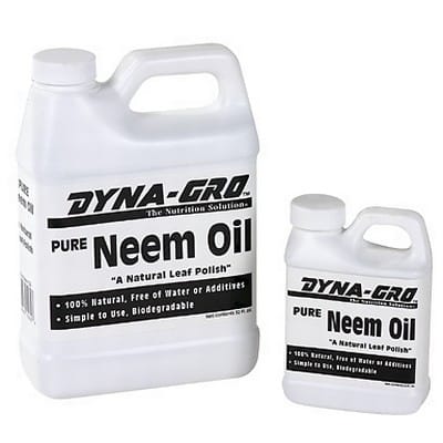 Neem Oil