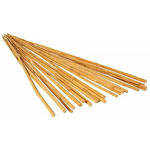 Natural Bamboo Stakes