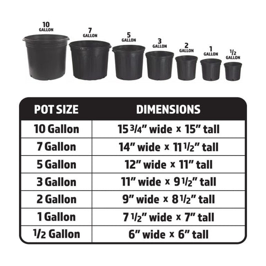 Nursery Pot